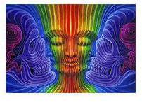 Abstract Psychedelic Alex Poster Canvas Painting The Artful Oracle