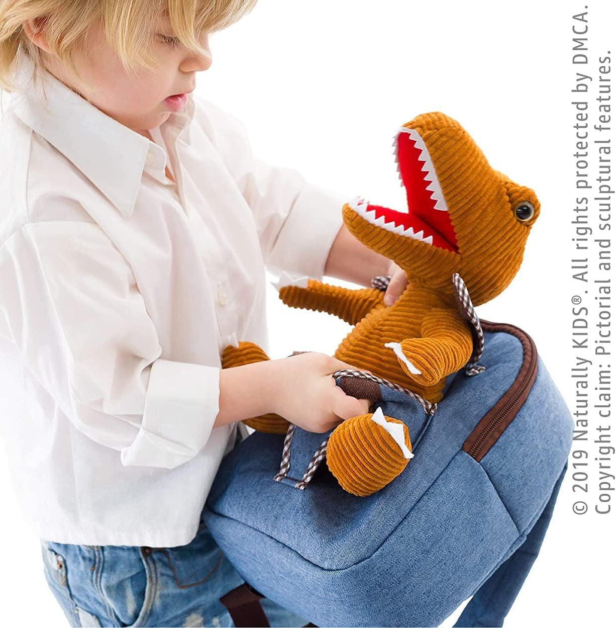 Small Dinosaur Backpack Dinosaur Toys for Kids 3-5 Toddler Backpack for Boys 2 3 5 Year Old Boy Girls Gift Dinosaur Toys for Kids 2-4 Dinosaurs for Boys Dino Toy Dinosaur Stuffed Animal